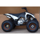 Квадроцикл Speed ​​Gear Madix 125