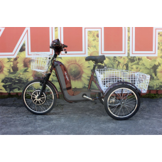 Електровелосипед триколісний SKYMOTO BIG HAPPY 350W 48V 10Ah 22"/20"