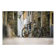 Електровелосипед Mondraker Neat RR 250W 36V 10Ah 29"