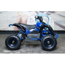 Квадроцикл Motoleader Pioneer 1000W