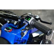 Квадроцикл Motoleader Pioneer 1000W