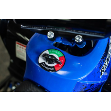 Квадроцикл Motoleader Pioneer 1000W