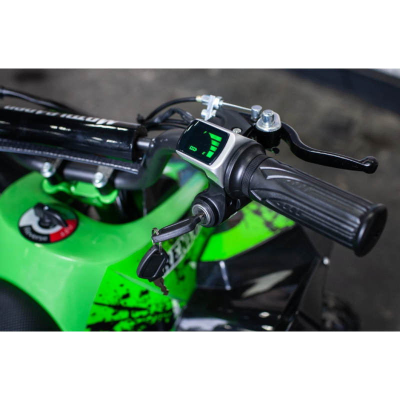 Квадроцикл Motoleader Pioneer 1000W
