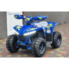 Квадроцикл Comman Balu TEA750 750W