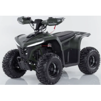 Квадроцикл Comman Balu TEA750 750W
