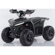 Квадроцикл Comman Balu TEA750 750W