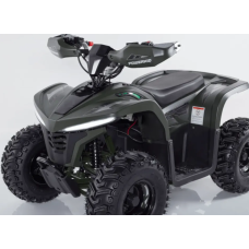 Квадроцикл Comman Balu TEA750 750W