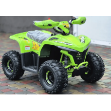 Квадроцикл Comman Balu TEA750 750W