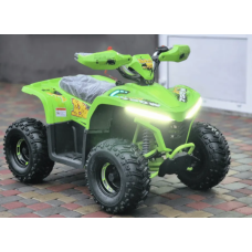 Квадроцикл Comman Balu TEA750 750W