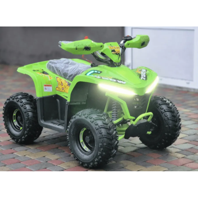 Квадроцикл Comman Balu TEA750 750W