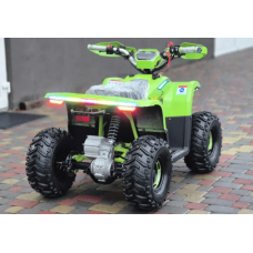 Квадроцикл Comman Balu TEA750 750W
