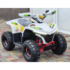 Квадроцикл Comman Balu TEA750 750W