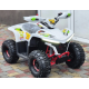 Квадроцикл Comman Balu TEA750 750W
