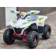 Квадроцикл Comman Balu TEA750 750W