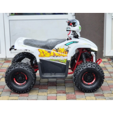 Квадроцикл Comman Balu TEA750 750W