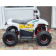 Квадроцикл Comman Balu TEA750 750W
