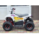 Квадроцикл Comman Balu TEA750 750W
