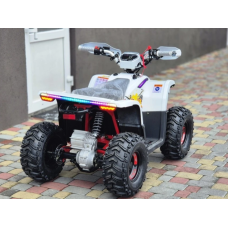 Квадроцикл Comman Balu TEA750 750W