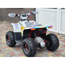 Квадроцикл Comman Balu TEA750 750W