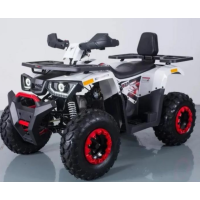 Квадроцикл Forte Braves 200