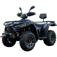 Квадроцикл Linhai LH300-D EFI ProMax 4×4 Чорний