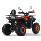 Квадроцикл Forte ATV125G помаранчевий