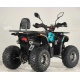 Квадроцикл FORTE ATV125P блакитно-червоний