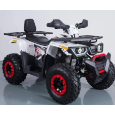 Квадроцикл Forte Braves 200