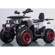 Квадроцикл Forte Braves 200