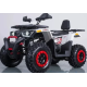 Квадроцикл Forte Braves 200