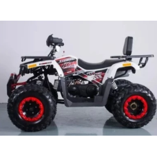 Квадроцикл Forte Braves 200
