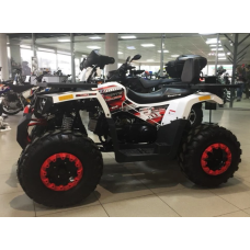 Квадроцикл Forte Braves 200
