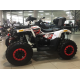 Квадроцикл Forte Braves 200