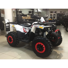 Квадроцикл Forte Braves 200
