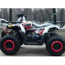 Квадроцикл Forte Braves 200