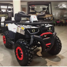 Квадроцикл Forte Braves 200