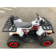 Квадроцикл Forte Braves 200