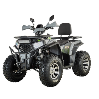 Квадроцикл Spark SP200-3 сірий