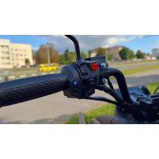 Квадроцикл Linhai Z210 Сафарі