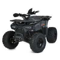 Квадроцикл Profi HB-EATV1450F-P-5 MP3 1500W Квадроцикл Profi HB-EATV1450F-P-5 MP3 1500W