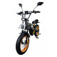 Електрофетбайк Minako Apex 240W 48V 20Ah 20"