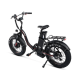 Електрофетбайк Cayman TRIAL DUAL 1500W 48V 17Ah 20"