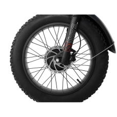 Електрофетбайк Cayman ULTRA DUAL 1750W 48V 21Ah 20"