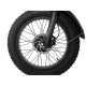 Електрофетбайк Cayman ULTRA DUAL 1750W 48V 21Ah 20"