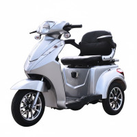 Електроскутер VIGOROUS VISTA-2 60В 20А·год Срібло 1000W
