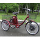 Електровелосипед триколісний SKYMOTO HAPPY 350W 36V 10Ah 24"/20"