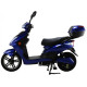 Електроскутер ROVER Element 02 350W 48V 20Ah 16"