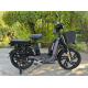 Електроскутер FADA РУТА 800W 60V 15Ah 17"