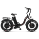 Електрофетбайк Cayman HARD DUAL 3000W 48V 21Ah 20"